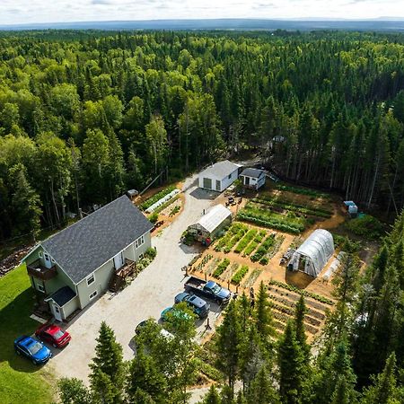 Upper Humber Settlement A Farmstay B&B Cormack エクステリア 写真