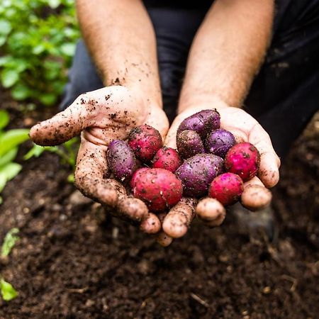 Upper Humber Settlement A Farmstay B&B Cormack エクステリア 写真