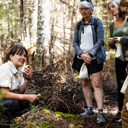 Upper Humber Settlement A Farmstay B&B Cormack エクステリア 写真
