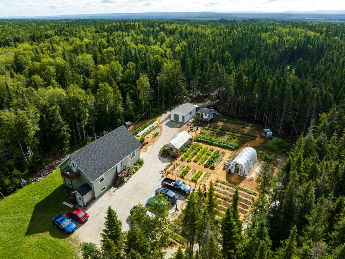 Upper Humber Settlement A Farmstay B&B Cormack エクステリア 写真