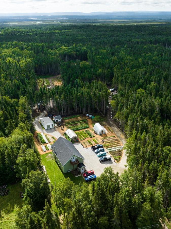 Upper Humber Settlement A Farmstay B&B Cormack エクステリア 写真