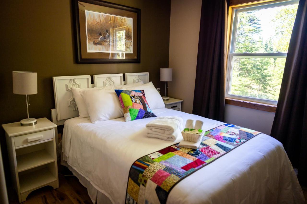 Upper Humber Settlement A Farmstay B&B Cormack エクステリア 写真