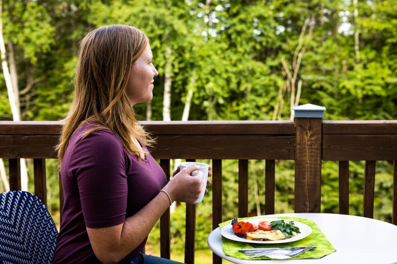 Upper Humber Settlement A Farmstay B&B Cormack エクステリア 写真