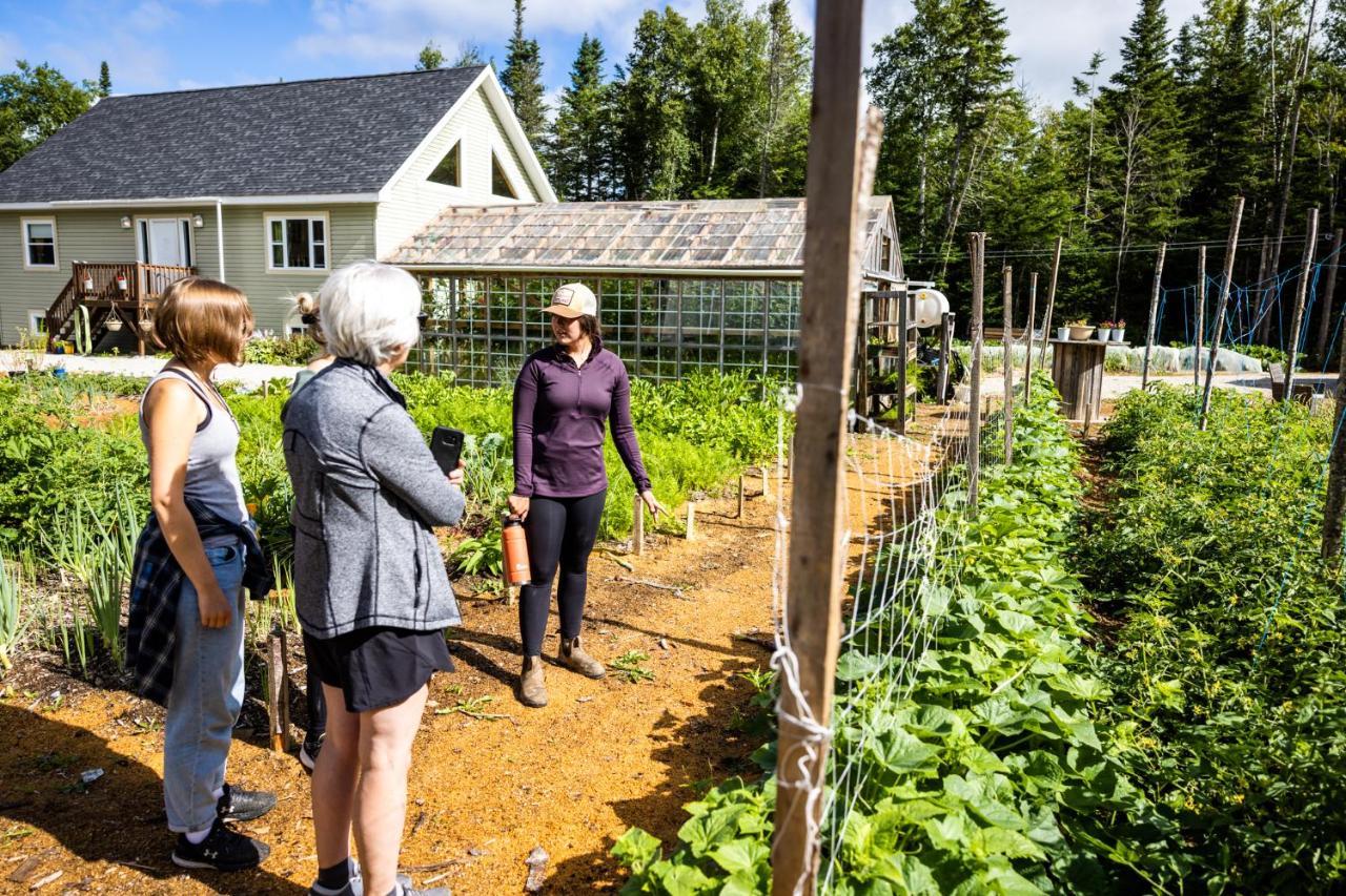 Upper Humber Settlement A Farmstay B&B Cormack エクステリア 写真