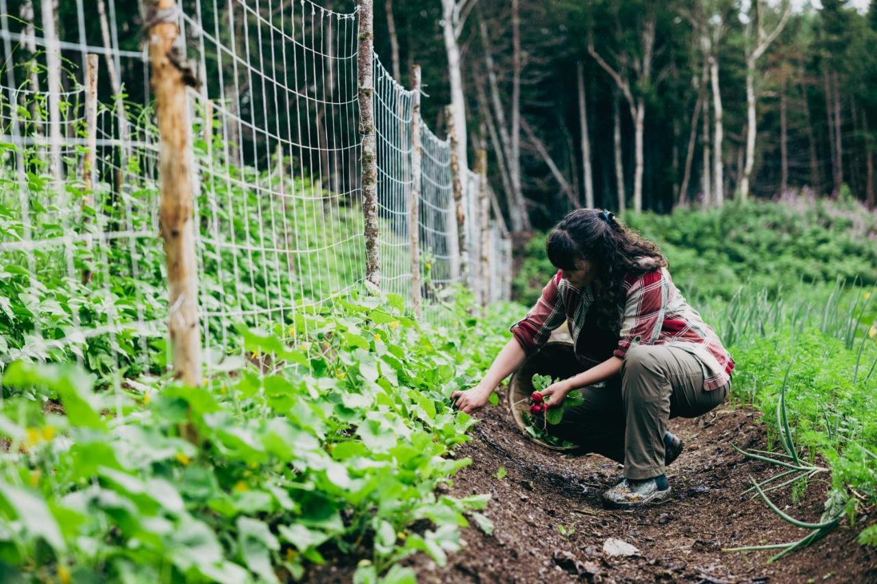 Upper Humber Settlement A Farmstay B&B Cormack エクステリア 写真
