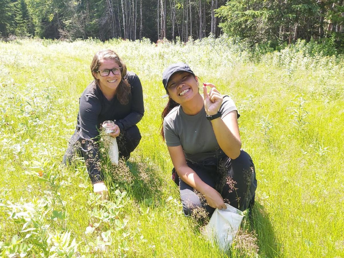 Upper Humber Settlement A Farmstay B&B Cormack エクステリア 写真